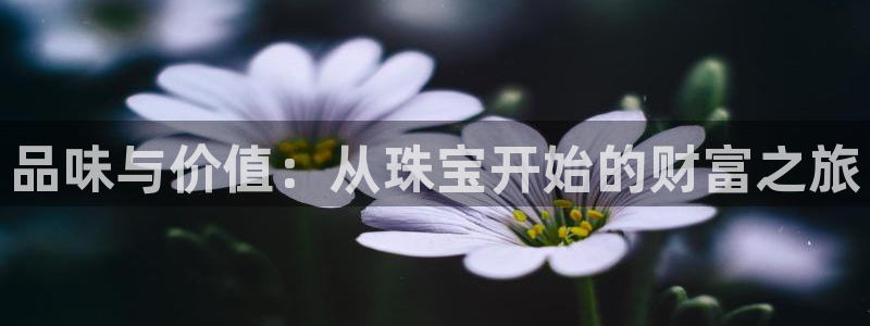 新宝5授权：品味与价值：从珠宝开始的财富之旅