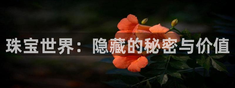 新宝5寂创33300散：珠宝世界：隐藏的秘密与价值