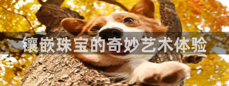 新宝5怎么下载到桌面：镶嵌珠宝的奇妙艺术体验