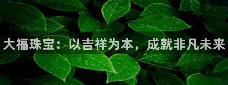 新宝5娱乐手机登录：大福珠宝：以吉祥为本，成就非凡未来