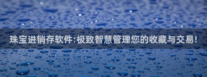 新宝5找找74OOO5：珠宝进销存软件:极致智慧管理您的收藏与交易!