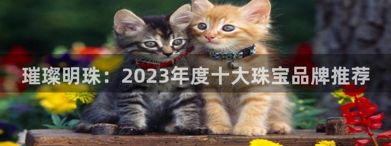 皇冠新宝5：璀璨明珠：2023年度十大珠宝品牌推荐