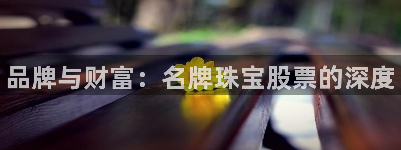 新宝5侹刔：品牌与财富：名牌珠宝股票的深度